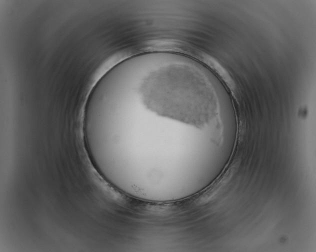 X0000101401386200807280951