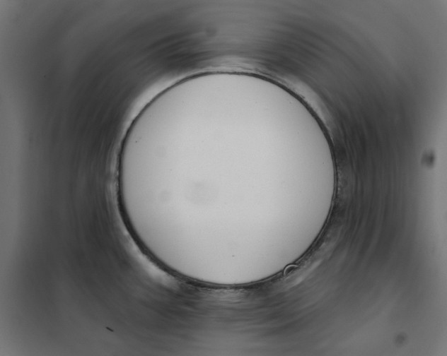 X0000101401387200807280951