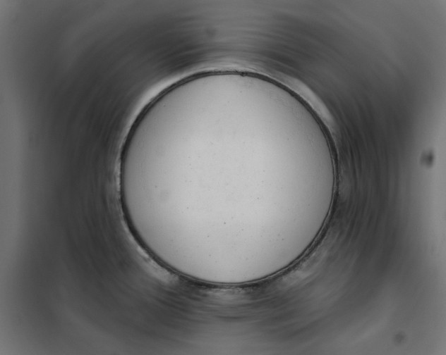 X0000101401388200807280951