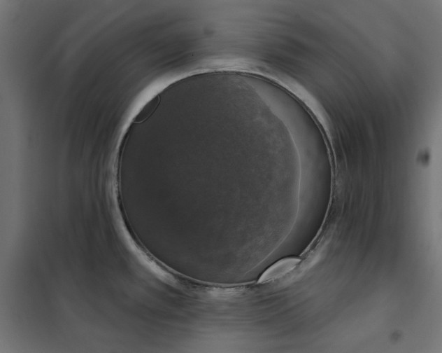 X0000101401389200807280951