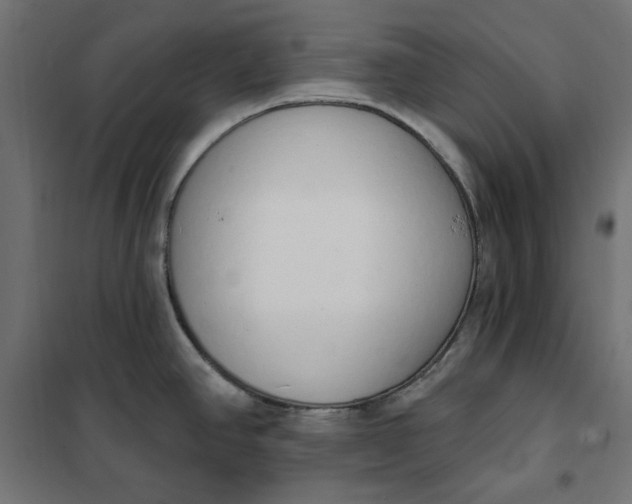 X0000101401390200807280951