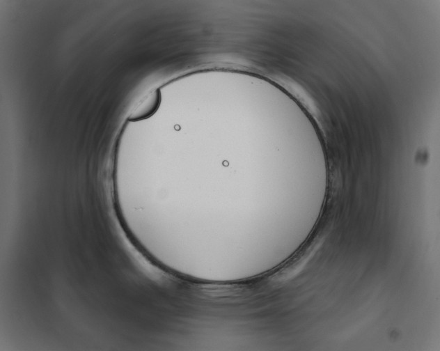 X0000101401391200807280951