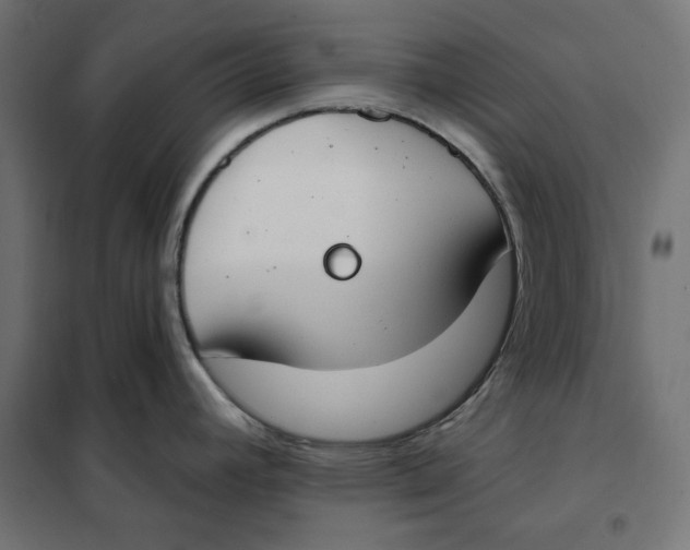 X0000101401392200807280951