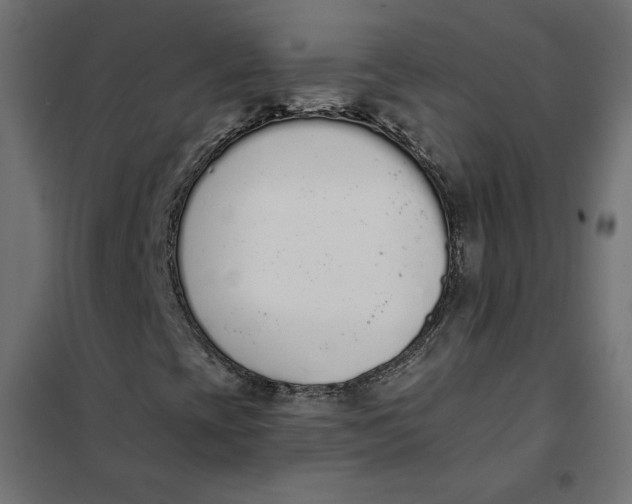 X0000101401393200807280950