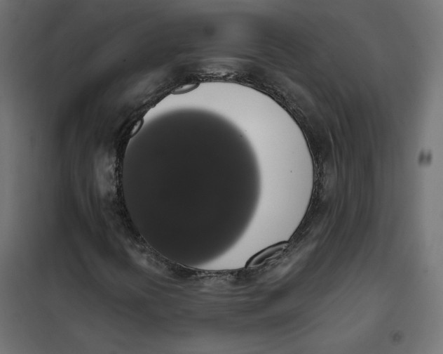 X0000101401394200807280950