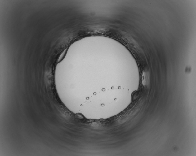 X0000101401395200807280950