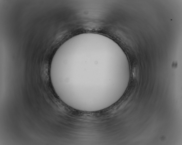 X0000101401396200807280950