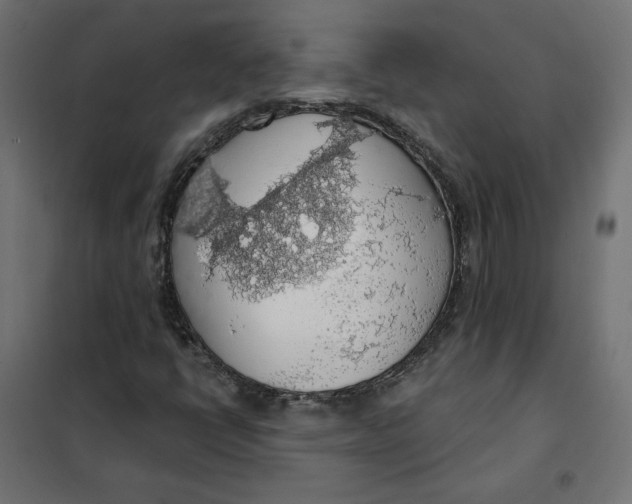 X0000101401398200807280950