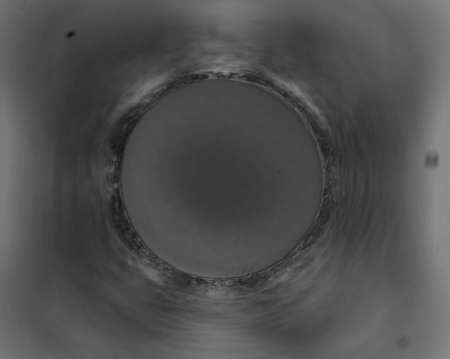 X0000101401399200807280950