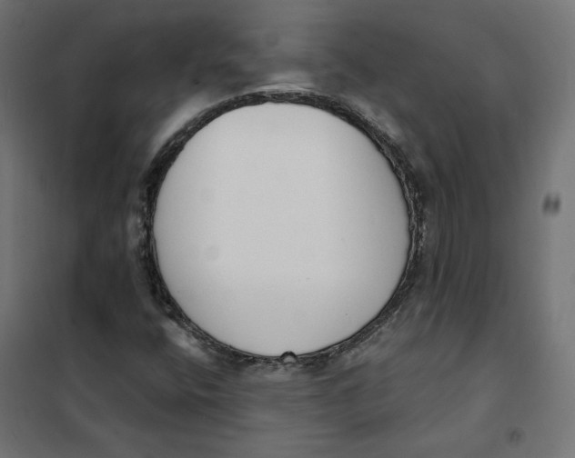 X0000101401400200807280950