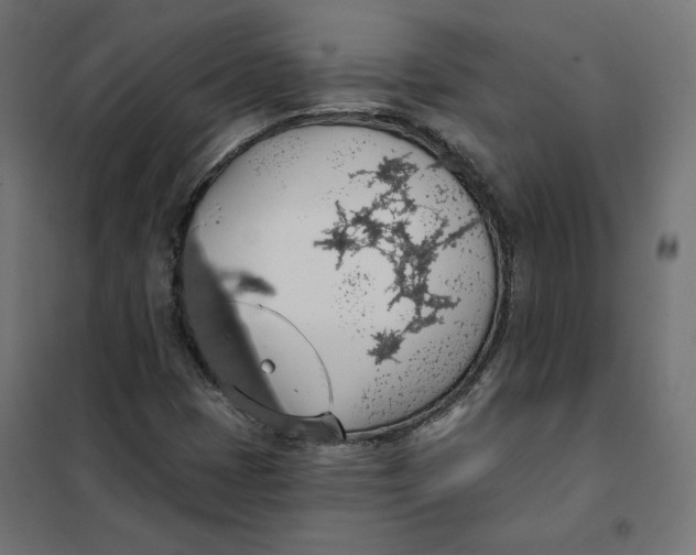 X0000101401401200807280950