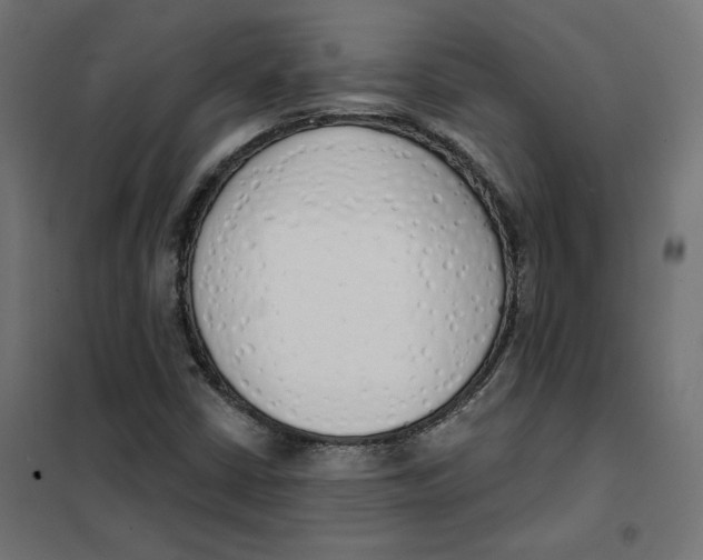 X0000101401402200807280950