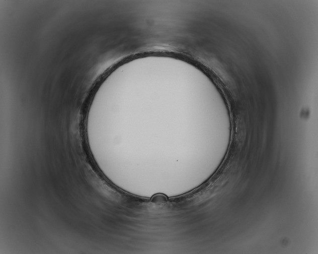 X0000101401404200807280950