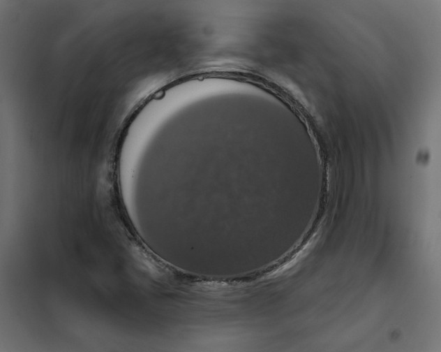 X0000101401405200807280950