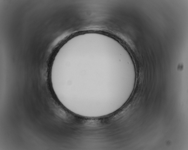 X0000101401406200807280950