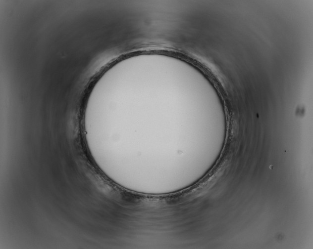 X0000101401407200807280950