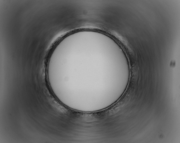 X0000101401408200807280950