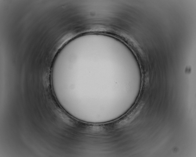 X0000101401409200807280950