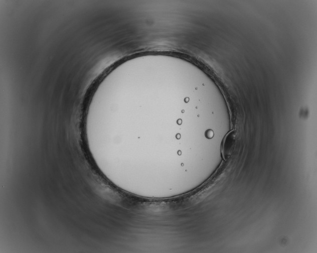 X0000101401410200807280950