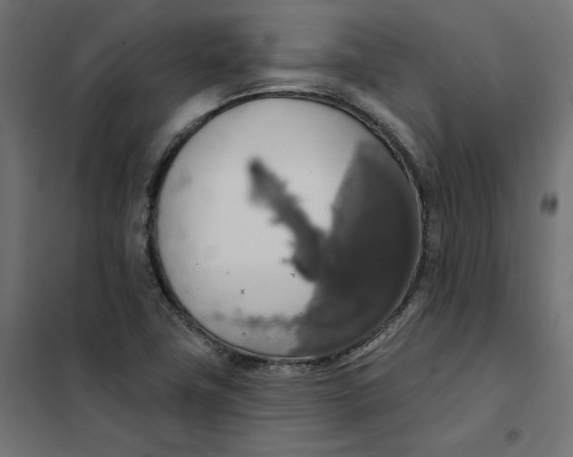 X0000101401411200807280950