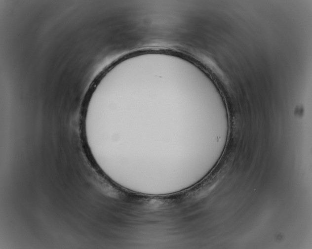 X0000101401412200807280951