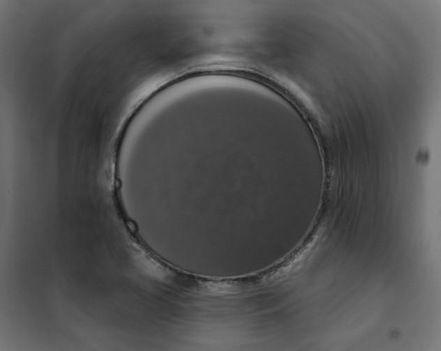 X0000101401413200807280951