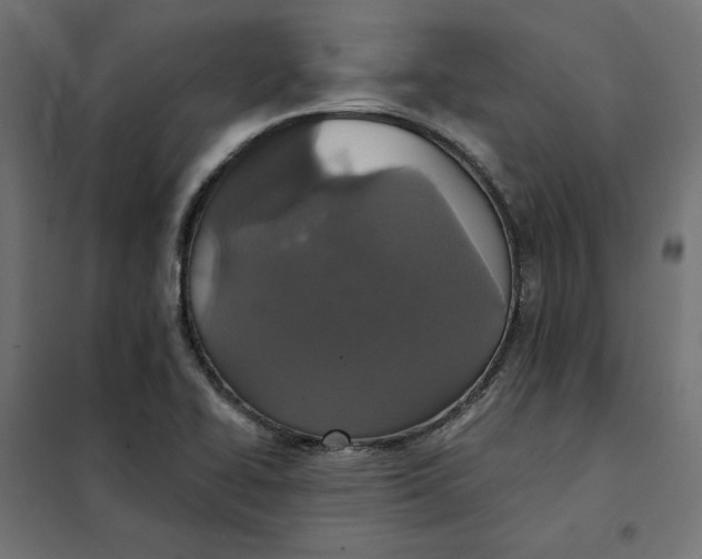 X0000101401414200807280951