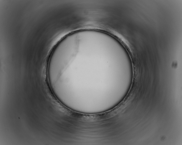 X0000101401415200807280951