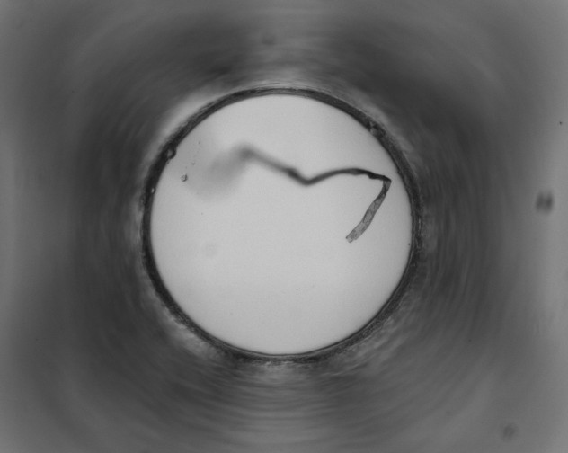 X0000101401416200807280951