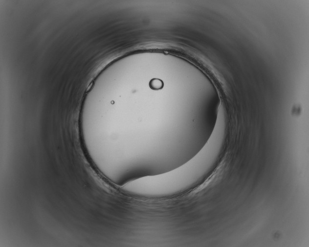 X0000101401417200807280951