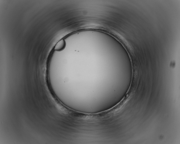 X0000101401418200807280951