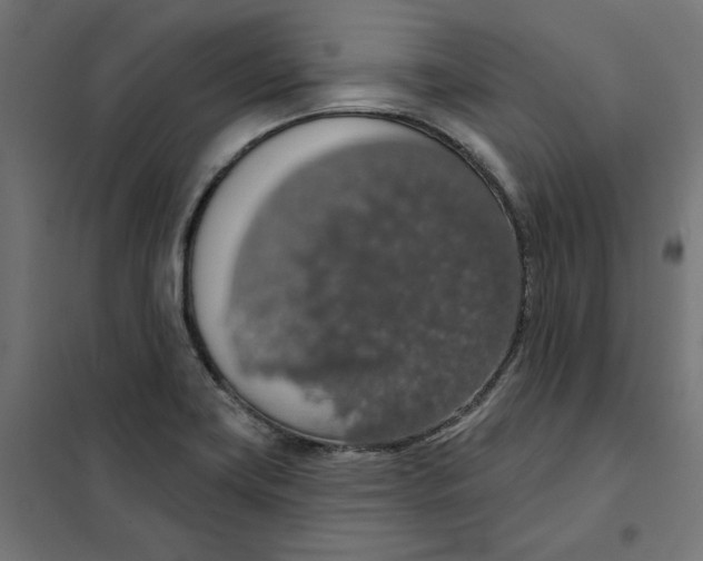 X0000101401419200807280951