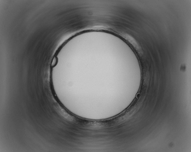 X0000101401420200807280951