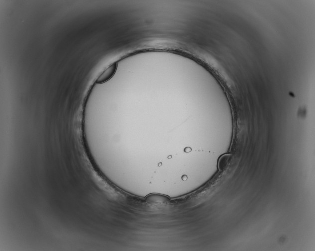 X0000101401421200807280951