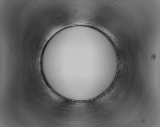 X0000101401423200807280951