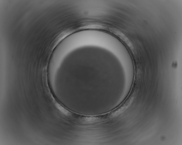 X0000101401425200807280951