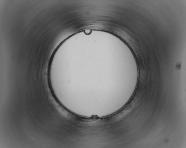 X0000101401426200807280951