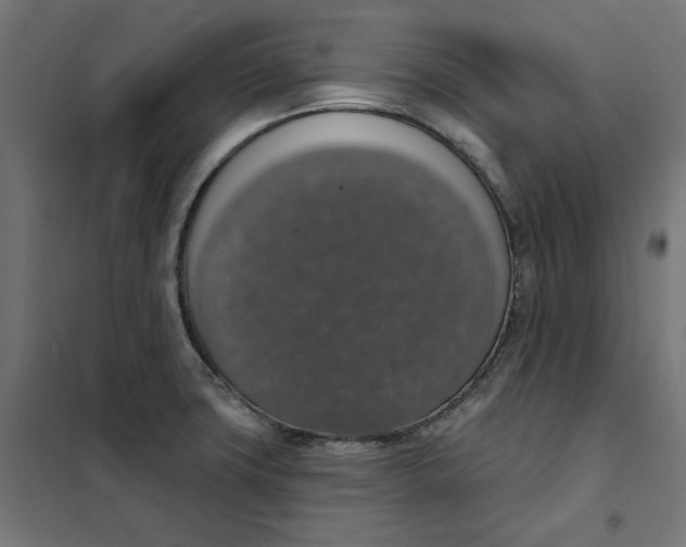 X0000101401427200807280951