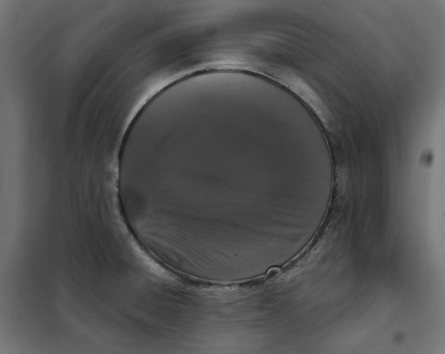 X0000101401428200807280951