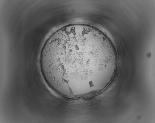 X0000101401429200807280951