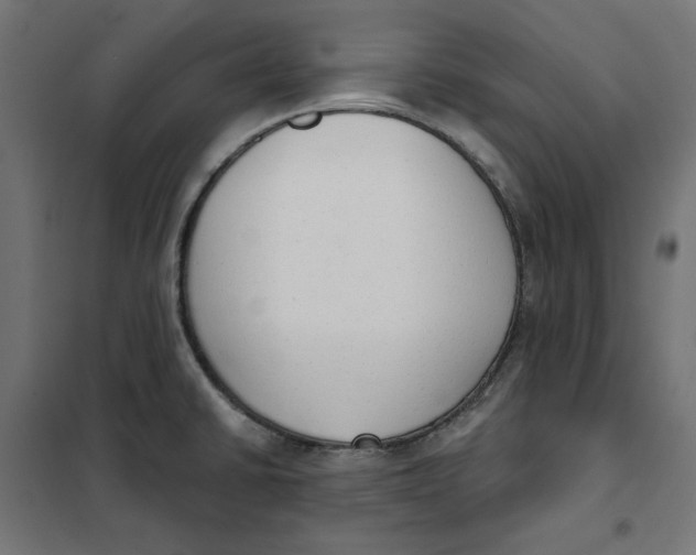 X0000101401430200807280951