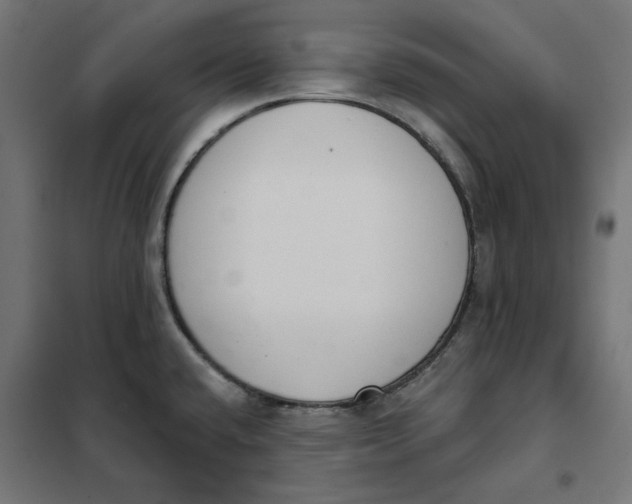 X0000101401432200807280951