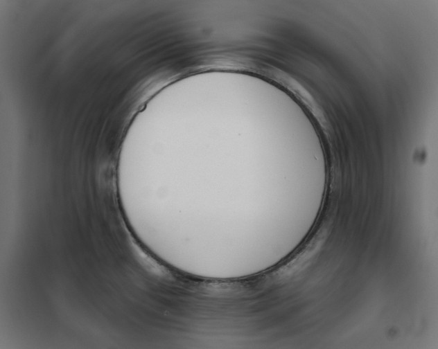 X0000101401433200807280951