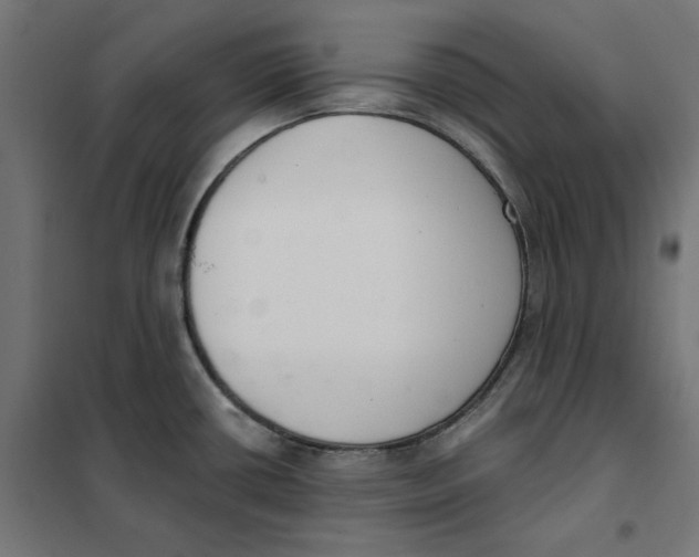 X0000101401434200807280951