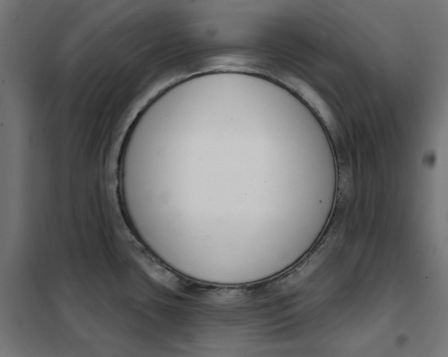 X0000101401435200807280951