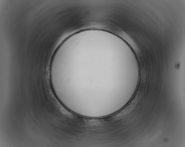 X0000101401436200807280951