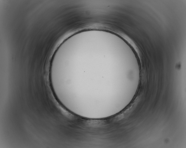 X0000101401437200807280951