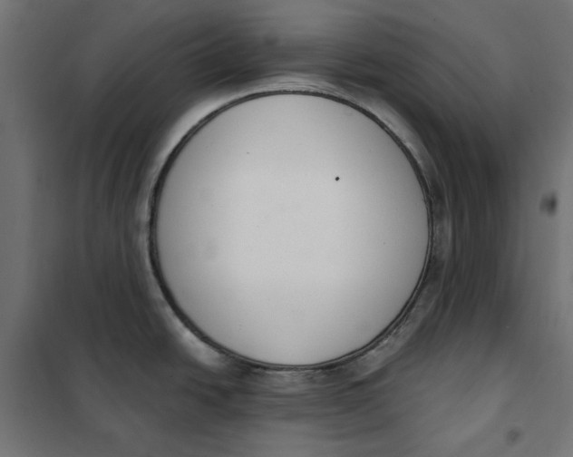 X0000101401438200807280951