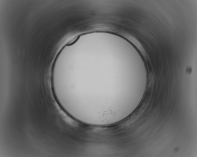 X0000101401439200807280951