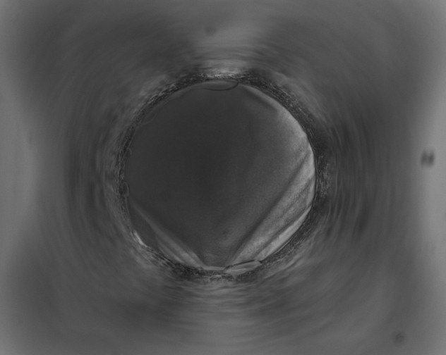 X0000101401441200807280950